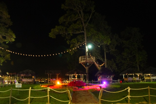 Suasana romantis di rumah pohon Foto by Jejak Jelata, Penginapan Bukit Mas Lampung, Lokasi Wisata Bukit Lampung, Jenis Penginapan Beserta Harga, Fasilitas Bukit Mas Lampung, Daya Tarik Puncak Lampung, Fasilitas Kolam Renang Bukit Mas Cottage & Resto Lampung, Suasana Romantis di Rumah Pohon, Menikmati View Indah Ketika Pertama Membuka Pintu Belakang, Bangunan Cottage Hampir Seluruhnya dari Papan Kayu, Nikmati Suasana Seperti Dataran Tinggi Pedesaan, Ketentuan Umum