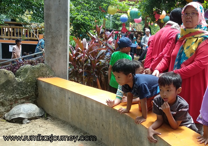 Taman Kura-kura, Informasi Umum, Taman Herbal Insani, Seputar Taman Herbal Insani Depok, Sejarah Taman Wisata Herbal Sawangan, Lokasi dan Cara Menuju Taman Herbal Insani, Harga Tiket Masuk Taman Herbal Insani, Wahana Permainan di Taman Herbal Insani, Fasilitas yang ada di Taman Herbal Insani