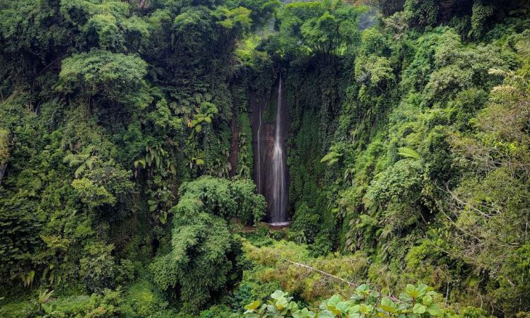 Curug Anom Natural Hills via Instagram.com @Aailham, 1. Curug Malela, 2. Curug Citambur, 3. Curug Dago, 4. Curug Sawer, 5. Curug Tilu Leuwi Opat, 6. Curug Maribaya, 7. Curug Jompong, 8. Curug Penganten, 9. Curug Cilengkrang, 10. Curug Layung, 11. Curug Batu Templek, 12. Curug Cimahi, 13. Curug Bugbrug, 14. Curug Siliwangi, 15. Curug Cinulang, 16. Curug Omas, 17. Curug Lalay Bandung Barat, 18. Curug Anom Natural Hills, 19. Curug Ngebul Cisitu, 20. Curug Bellarosa, 21. Curug Cipanji