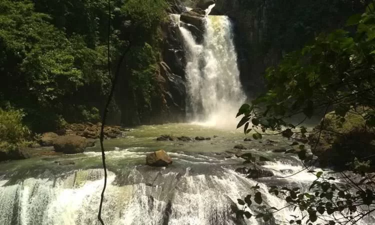 Curug Ngebul Cisitu via Instagram.com Andre R Hidayat, 1. Curug Malela, 2. Curug Citambur, 3. Curug Dago, 4. Curug Sawer, 5. Curug Tilu Leuwi Opat, 6. Curug Maribaya, 7. Curug Jompong, 8. Curug Penganten, 9. Curug Cilengkrang, 10. Curug Layung, 11. Curug Batu Templek, 12. Curug Cimahi, 13. Curug Bugbrug, 14. Curug Siliwangi, 15. Curug Cinulang, 16. Curug Omas, 17. Curug Lalay Bandung Barat, 18. Curug Anom Natural Hills, 19. Curug Ngebul Cisitu, 20. Curug Bellarosa, 21. Curug Cipanji