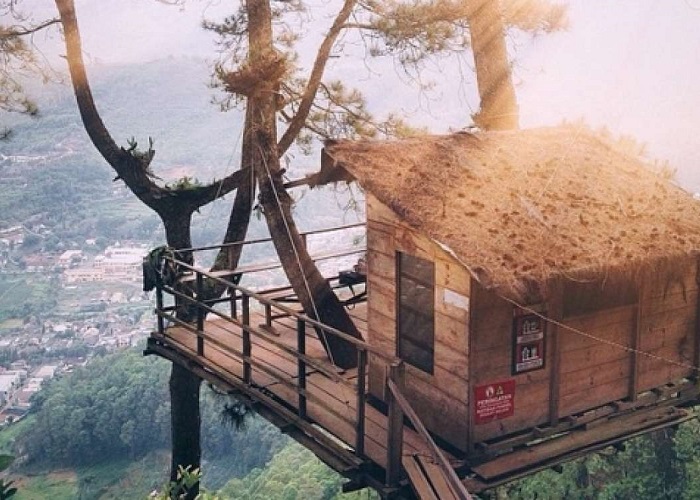 Omah Kayu Paralayang via Tokopedia, 1. Cubic One Capsule Hotel  , 2. Huize Jon Hostel Malang , 3. Airy Eco Syariah Lowokwaru Ikan Gurami , 4. MaxOne Hotel Malang , 5. Helena Guest House , 6. Kertanegara Premium Guest House, 7. Ibis Styles Malang , 8. Gajahmada Graha Hotel , 9. Omah Kayu Paralayang , 10. Ubud Cottages Malang , 11. Kusuma Agrowisata Hotel, 12. Kedawung Backpacker, 13. Pondok Backpacker, 14. Kampong Tourist, 15. Kavie Hostel, 16. Rumah Larasati, 17. Pondok Backpacker City Square, 18. Palmyra Hostel, 19. Mador Malang Dorm Hostel, 20. Kapal Garden Hotel, 21. Tombro Malang Dorm Hostel, 22. Shakila Guest House