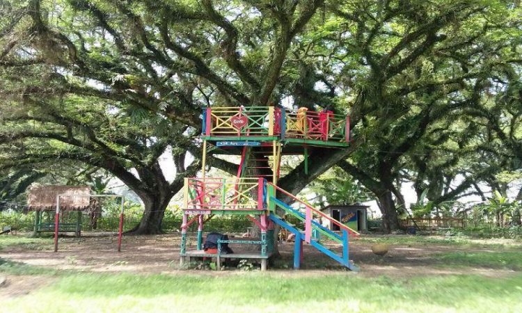 KDR Park Blora