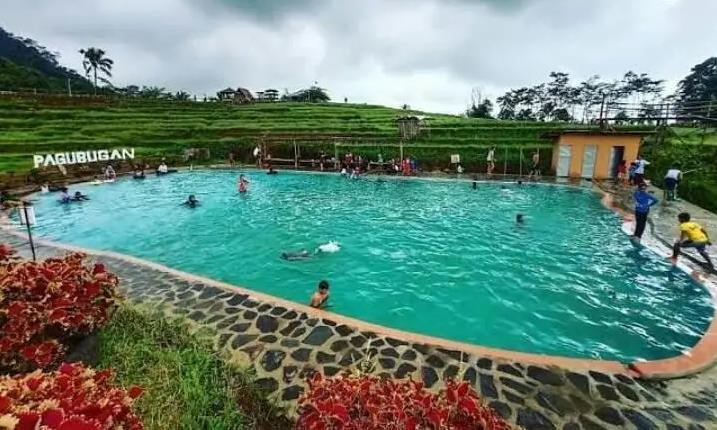 Kolam Renang di Tengah Sawah Purwokerto
