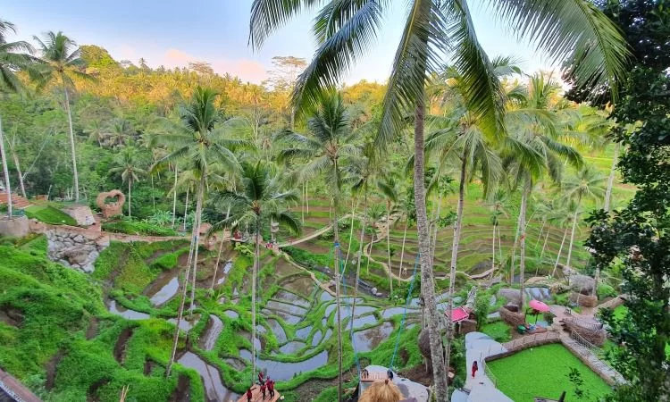 Alas Harum Agrotourism Tempat Wisata di Bali Tengah, 1. Pura Sakenan, 2. Museum Bali, 3. Taman Budaya Bali, 4. Monumen Bajra Sandhi, 5. Pura Tampak Siring, 6. Tegalalang, 7. D’Tukad River Club, 8. Pasar Seni Ubud, 9. Alas Harum Agrotourism, 10. Bali Strawberry Farm &amp; Restaurant, 11. Rumah Gemuk Bali, 12. Museum dan Galeri Seni Rudana, 13. Patung Bayi, 14. The Blanco Renaissance Museum, 15. Museum ARMA, 16. Museum Seni Neka, 17. Museum Subak, 18. Desa Petulu, 19. Desa Wisata Penglipuran, 20. Desa Coklat Bali, 21. Arung Jeram Sungai Ayung, 22. Pemandian Air Panas Yeh Panes Panatahan, 23. Pemandian Air Panas Angseri, 24. Air Terjun Suwat, 25. Air Terjun Kanto Lampo, 26. Air Terjun Blahmantung, 27. Danau Buyan, 28. Pura Ulun Danu, 29. Goa Gajah, 30. Istana Tampaksiring, 31. Pura Gunung Lebah, 32. Pura Malen, 33. Puri Saren Agung, 34. Pura Taman Saraswati, 35. Pura Tirta Empul, 36. Pura Gunung Kawi, 37. Hidden Canyon Beji Guwang, 38. Taman Kota Ciung Wanara Gianyar, 39. Taman Kota Lumintang, 40. Taman Nusa, 41. Elephant Safari Park, 42. Bali Bird Park, 43. Bali Zoo, 44. Terasering Jatiluwih, 45. Terasering Tegalalang, 46. Bukit Campuhan, 48. Pohon Kayu Putih Desa Bayan, 49. Taman Kupu-kupu, 50. Kebun Raya Bali, 51. The Blooms Garden, 52. Monkey Forest Ubud, 53. Alas Kedaton, 54. Tasta Zoo, 55. Air Terjun Tukad Cepung, 56. Air Terjun Nungnung, 57. Objek Wisata Sangeh, 58. Air Terjun Tegenungan