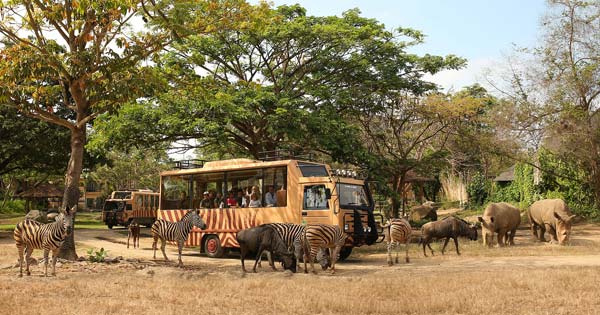 Bali Safari & Marine Park