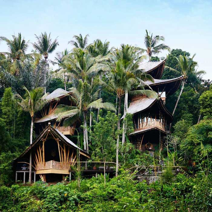 Green Village