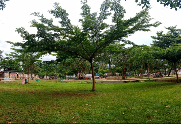 Alun - Alun Kedungwuni Khoirul Romadzon, 1. Pantai Pasir Kencana, 2. Curug Muncar, 3. Curug Bajing , 4. Pantai Slamaran , 5. Museum Batik Pekalongan, 6. Pantai Sunter Depok Indah, 7. Puncak Hanoman Gunung Kendalisodo, 8. Linggo Asri, 9. Kebun Teh Kaliboja, 10. Lolong Adventure, 11. International Batik Center , 12. Gunung Rogojembangan , 13. Wisata Watu Ireng , 14. Pantai Wonokerto , 15. Bukit Pawuluhan, 16. Wisata Mangrove Park Pekalongan, 17. Blackcanyon Petungkriyono, 18. Wisata Curug Madu, 19. Curug Bidadari Jolotigo , 20. Curug Cinde, 21. Monumen Pekalongan, 22. Alun-alun Kota Pekalongan, 23. Alun-alun Bebekan Kedungwuni, 24. Kali Paingan, 25. Curug Lawe, 26. Bendungan Kletak, 27. Curug Blanten, 28. Curug Bekakak, 29. Jembatan Lengkung Surabayan, 30. Taman Kuripan Pekalongan “Nursery Horikultura, 31. Pantai Sari Pekalongan, 32. Bengkelung Park, 33. Kolam Renang Banyubiru Pekalongan, 34. Taman Lapangan Bebekan, 35. Wisata Ciblon, 36. Zatoland Waterboom, 37. Bukit Bintang Kutorojo, 38. La’Ranch Glamping, 39. Telaga Sigebyar Mangunan, 40. Sipare Green Park, 41. Km 0 Pekalongan, 42. Wisata Danau Alkautsar, 43. Dino Park Soko Langit Pekalongan, 44. Masjid Agung Al-Jami Pekalongan, 45. Wisata Bahari PPNP, 46. Nasi Megono Bu Suli – Wisata Kuliner khas Pekalongan , 47. Pusat Grosir Setono