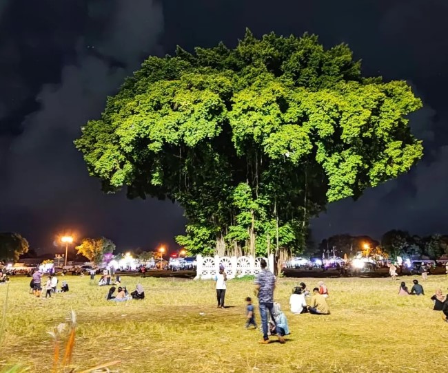Alun-alun Kidul Jogja Rifa'atul Istifaiyyah, 1. Bukit Bintang Jogja, 2. Jalan Legendaris Jogja ‘Malioboro’, 3. Tempo Gelato Jogja, 4. House Of Raminten Jogja, 5. Silol Kopi &amp; Eatery, 6. Filosofi Kopi Jogja, 7. Legend Coffee, 8. Cafe Brick, 9. Roaster and Bear Jogja, 10. Mato Kopi, 11. Epic Coffee &amp; Epilog Furniture, 12. Blanco Coffee and Book Jogja, 13. Alun-alun Kidul Jogja, 14. Kawasan Nol Kilometer Jogja, 15. Angkringan Kopi Jos Lik Man, 16. Secret Garden Coffee and Chocolate, 17. Watu Langit, 18. ROEMI Xtraordinary Ice Cream, 19. Peacockoffie Palagan, 20. Awan Mbengi Coffee &amp; Tea, 21. Oppa Keopi, 22. Rembug Kopi, 23. Ayara Coffee Shop, 24. Blandongan, 25. Le travail Coffee, 26. Angkringan KR Jogja, 27. Angkringan Wijilan Jogja, 28. Angkringan Tugu Jogja, 29. Roti Bakar Van Java
