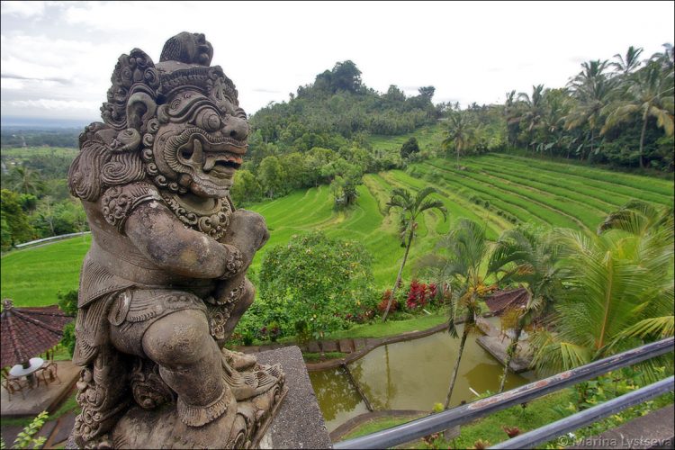 Bukit Jambul, 1. Bukit Amuk Bay menawarkan pemandangan hamparan pantai Amuk Bay, 2. Wanagiri Hidden Hills jangan sampai lepas dari bidikan kameramu!, 3. Bukit Belong menawarkan view persawahan yang bak permadani hijau, 4. Nyari Tempat asik untuk menenangkan diri di Bali? Ya… Bukit Putung, 5. Bukit Asah: spot kece untuk menikmati sunset dan camping, 6. Menikmati pesona pantai dari ketinggian di Bukit Guungan, 7. Bukit Campuhan asik juga nih buat jogging, 8. Masih di Bali? Jangan lupa mampir ke Bukit Batu Kursi, 9. Bukit Sari Songan, 10. Bukit Trunyan, 11. Bukit Panorama Lembongan, 12. Bukit Teletubies Kubutambahan, 13. Bukit Teletubbies Nusa Penida, 14. Bukit Tenganan, 16. Bukit Nampo, 17. Bukit Pemukuran, 18. Bukit Cinta Pinggan, 19. Bukit Medelen, 20. Bukit Lipang, 21. Twin Hill, 22. Bukit Demulih, 23. Bukit Mende, 24. Bukit Tamblang, 25. Bukit Cemara, 26. Bukit Jambul, 27. Bukit Indrakila, 28. Bukit Mencol, 29. Bukit Lemped, 30. Bukit Mangun, 31. Bukit Nunggul, 32. Bukit Abangan, 33. Bukit Padang Dalung, 34. Bukit Beratan, 35. Bukit Cinta Desa Gelumpang