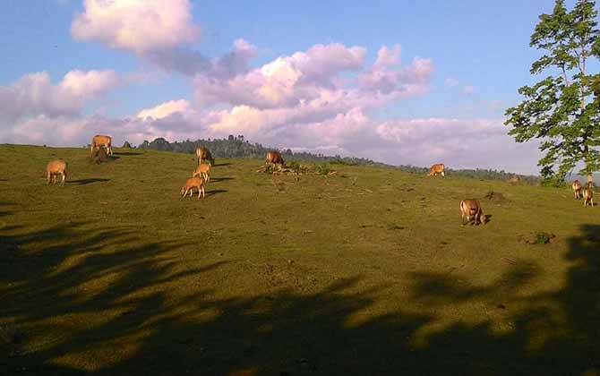 1. Bukit Amuk Bay menawarkan pemandangan hamparan pantai Amuk Bay, 2. Wanagiri Hidden Hills jangan sampai lepas dari bidikan kameramu!, 3. Bukit Belong menawarkan view persawahan yang bak permadani hijau, 4. Nyari Tempat asik untuk menenangkan diri di Bali? Ya… Bukit Putung, 5. Bukit Asah: spot kece untuk menikmati sunset dan camping, 6. Menikmati pesona pantai dari ketinggian di Bukit Guungan, 7. Bukit Campuhan asik juga nih buat jogging, 8. Masih di Bali? Jangan lupa mampir ke Bukit Batu Kursi, 9. Bukit Sari Songan, 10. Bukit Trunyan, 11. Bukit Panorama Lembongan, 12. Bukit Teletubies Kubutambahan, 13. Bukit Teletubbies Nusa Penida, 14. Bukit Tenganan, 16. Bukit Nampo, 17. Bukit Pemukuran, 18. Bukit Cinta Pinggan, 19. Bukit Medelen, 20. Bukit Lipang, 21. Twin Hill, 22. Bukit Demulih, 23. Bukit Mende, 24. Bukit Tamblang, 25. Bukit Cemara, 26. Bukit Jambul, 27. Bukit Indrakila, 28. Bukit Mencol, 29. Bukit Lemped, 30. Bukit Mangun, 31. Bukit Nunggul, 32. Bukit Abangan, 33. Bukit Padang Dalung, 34. Bukit Beratan, 35. Bukit Cinta Desa Gelumpang