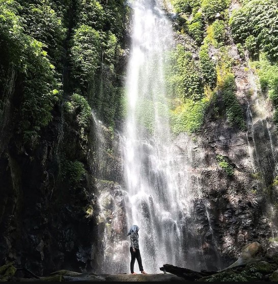 Curug Lawe Ahmad Afandi, 1. Pantai Pasir Kencana, 2. Curug Muncar, 3. Curug Bajing , 4. Pantai Slamaran , 5. Museum Batik Pekalongan, 6. Pantai Sunter Depok Indah, 7. Puncak Hanoman Gunung Kendalisodo, 8. Linggo Asri, 9. Kebun Teh Kaliboja, 10. Lolong Adventure, 11. International Batik Center , 12. Gunung Rogojembangan , 13. Wisata Watu Ireng , 14. Pantai Wonokerto , 15. Bukit Pawuluhan, 16. Wisata Mangrove Park Pekalongan, 17. Blackcanyon Petungkriyono, 18. Wisata Curug Madu, 19. Curug Bidadari Jolotigo , 20. Curug Cinde, 21. Monumen Pekalongan, 22. Alun-alun Kota Pekalongan, 23. Alun-alun Bebekan Kedungwuni, 24. Kali Paingan, 25. Curug Lawe, 26. Bendungan Kletak, 27. Curug Blanten, 28. Curug Bekakak, 29. Jembatan Lengkung Surabayan, 30. Taman Kuripan Pekalongan “Nursery Horikultura, 31. Pantai Sari Pekalongan, 32. Bengkelung Park, 33. Kolam Renang Banyubiru Pekalongan, 34. Taman Lapangan Bebekan, 35. Wisata Ciblon, 36. Zatoland Waterboom, 37. Bukit Bintang Kutorojo, 38. La’Ranch Glamping, 39. Telaga Sigebyar Mangunan, 40. Sipare Green Park, 41. Km 0 Pekalongan, 42. Wisata Danau Alkautsar, 43. Dino Park Soko Langit Pekalongan, 44. Masjid Agung Al-Jami Pekalongan, 45. Wisata Bahari PPNP, 46. Nasi Megono Bu Suli – Wisata Kuliner khas Pekalongan , 47. Pusat Grosir Setono
