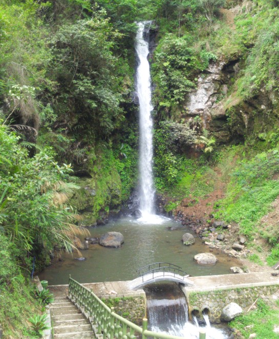 Curug muncar Muhammad Naufal Irfan, 1. Pantai Pasir Kencana, 2. Curug Muncar, 3. Curug Bajing , 4. Pantai Slamaran , 5. Museum Batik Pekalongan, 6. Pantai Sunter Depok Indah, 7. Puncak Hanoman Gunung Kendalisodo, 8. Linggo Asri, 9. Kebun Teh Kaliboja, 10. Lolong Adventure, 11. International Batik Center , 12. Gunung Rogojembangan , 13. Wisata Watu Ireng , 14. Pantai Wonokerto , 15. Bukit Pawuluhan, 16. Wisata Mangrove Park Pekalongan, 17. Blackcanyon Petungkriyono, 18. Wisata Curug Madu, 19. Curug Bidadari Jolotigo , 20. Curug Cinde, 21. Monumen Pekalongan, 22. Alun-alun Kota Pekalongan, 23. Alun-alun Bebekan Kedungwuni, 24. Kali Paingan, 25. Curug Lawe, 26. Bendungan Kletak, 27. Curug Blanten, 28. Curug Bekakak, 29. Jembatan Lengkung Surabayan, 30. Taman Kuripan Pekalongan “Nursery Horikultura, 31. Pantai Sari Pekalongan, 32. Bengkelung Park, 33. Kolam Renang Banyubiru Pekalongan, 34. Taman Lapangan Bebekan, 35. Wisata Ciblon, 36. Zatoland Waterboom, 37. Bukit Bintang Kutorojo, 38. La’Ranch Glamping, 39. Telaga Sigebyar Mangunan, 40. Sipare Green Park, 41. Km 0 Pekalongan, 42. Wisata Danau Alkautsar, 43. Dino Park Soko Langit Pekalongan, 44. Masjid Agung Al-Jami Pekalongan, 45. Wisata Bahari PPNP, 46. Nasi Megono Bu Suli – Wisata Kuliner khas Pekalongan , 47. Pusat Grosir Setono