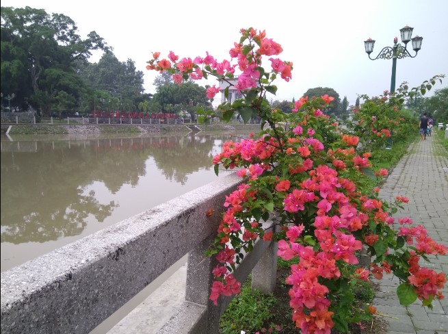 Embung Langensari Moh. Khatibul Umam, 1. Wisata Candi Prambanan, 2. Wisata Air Terjun Sri Gethuk, 3. Curug Indah Tegalrejo, 4. Pasar Beringharjo, 5. Sindu Kusuma Edupark (SKE), 6. Tugu Jogja, 7. Museum Benteng Vredeburg, 8. Taman Pintar Yogyakarta, 9. Gumuk Pasir Parangkusumo, 10. The Lost World Castle, 11. Wisata Istana Ratu Boko, 12. Pantai Pok Tunggal, 13. Pantai Parangtritis, 14. Pantai Baron, 15. Pantai Siung, 16. Pabrik Gula Madukismo, 17. Museum Mini Sisa Hartaku, 18. Museum Affandi, 19. Museum Sonobudoyo Siung, 20. Wisata Kotagede , 21. Keraton Ngayogyakarta Hadiningrat, 22. Kebun Binatang Gembira Loka, 23. Jalan Malioboro, 24. Kampung Wisata Taman Sari, 25. Hutan Pinus Mangunan, 26. Kebun Buah Mangunan Jogja, 27. Pantai Timang, 28. Wisata Goa Selarong, 29. Wisata Alam Kalibiru, 30. Cave Tubing di Goa Pindul, 31. Candi Sambisari, 32. Wisata Candi Plaosan, 33. “Cahaya Surga” di Gua Jomblang, 34. Bukit Parang Endog, 35. Bukit Bintang Jogja, 36. Pantai Indrayanti, 37. Pantai Jogan, 38. Pantai Sundak, 39. Pantai Krakal, 40. Goa Gelatik, 41. Cave Tubing Kalisuci, 42. Pantai Sadranan, 43. The World Landmarks Merapi Park, 44. Transmart Carrefour Maguwo, 45. Pantai Nglambor , 46. Jogja Bay Waterpark (Tutup Sementara), 47. Kebun Teh Nglinggo Jogja, 48. Tebing Breksi, 49. Wisata Hutan Mangrove Wana Tirta, 50. Taman Nasional Gunung Merapi, 51. Jurang Tembelan, 52. Gunung Api Purba Nglanggeran, 53. Candi Ijo D.I. Yogyakarta, 54. Alun-alun Kidul, Jogja, 55. Taman Pelangi Monjali, 56. Jalan Prawirotaman, 57. Titik Nol Yogyakarta, 58. Taman Budaya Yogyakarta, 59. Ekowisata Sungai Mudal, 60. Pojok Beteng, 61. HeHa Sky View, 62. HeHa Ocean View, 63. Tumpeng Menoreh, 64. Rumah Jembarati (Tutup), 65. Studio Alam Glampong, 66. Bukit Panguk Kediwung, 67. Curug Pulosari, 68. Seribu Batu Songgo Langit, 69. Embung Langensari, 70. Pantai Ngrawe (MESRA)