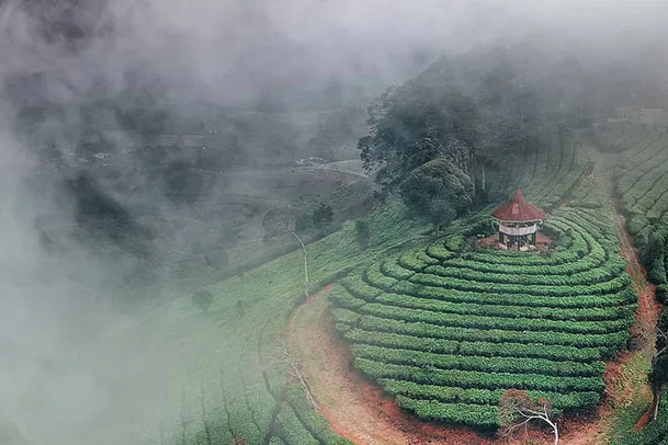 Gunung Nini, 1. Mari mulai dari atraksi wisata populer di Bandung yang bisa kalian jajal dengan harga minimalis, bahkan ada yang gratis lho! Misalnya saja aneka taman tematiknya yang keren, 2. Dengan 10 ribu rupiah, kalian bisa mengelilingi kota Bandung sambil bergaya keren di atas Bus Bandros, 3. Salurkan hasratmu jadi koboi dengan naik kuda. Harganya mulai dari 5 ribuan saja lho, 4. Ingin tahu seperti apa suasana pasar terapung? Nggak usah jauh-jauh ke Thailand karena di Bandung pun ada Floating Market, 5. Terkadang, wisata murah bisa begitu dekat dengan bintang. Nggak percaya? Mampir saja ke Observatorium Bosscha yang ada di bilangan Lembang untuk membuktikannya, 6. Walau bukan obyek wisata mayor, Cagar Alam Junghuhn layak untuk dikunjungi oleh kalian yang menghargai jasa para pahlawan, 7. Air terjun Maribaya selalu menjadi favorit bagi mereka yang mencintai suasana alam dengan budget yang ekonomis, 8. Dan, dari Maribaya, kalian bisa langsung menuju Taman Hutan Raya Juanda. Harga tiketnya sama ekonomisnya lho, 9. Untuk melengkapi kunjungan di Taman Hutan Raya Juanda, sekalian saja mampir ke tempat selfie paling populer di Bandung, yaitu Tebing Keraton, 10. Menikmati sejuknya udara Bandung bisa kalian lakukan sambil mengenal ragam fauna di Kebun Binatang Bandung, 11. Area Bandung Selatan juga punya banyak obyek wisata yang menyayangi kantong kalian. Misalnya saja wisata Kawah Putih-nya yang super populer itu, 12. Untuk kalian para pecinta wisata alam dan pengagum nilai-nilai romantisme, Situ Patenggang menjadi tempat yang wajib kalian sambangi di Bandung, 13. Mampirlah ke Pemandian Air Panas Cibolang yang akan menghangatkan tubuh kalian dari gigitan udara dingin di Ciwidey, 14. Cibolang bukan satu-satunya tempat yang dapat menghangatkan tubuh kalian saat dingin. Kunjungi saja Taman Wisata Alam Cimanggu yang juga menawarkan kolam pemandian air panas alami, 15. Atau, mampirlah ke pemandian Air Panas Alami Walini/Rancawalini juga populer di wilayah Ciwidey. Kalian dapat menikmati suasana berendam air panas di tengah perkebunan teh, 16. Wisata di Ciwidey akan semakin lengkap jika kalian berjalan-jalan di tengah Perkebunan Teh Rancabali. Pemandangannya yang indah akan membuat siapapun mendadak suka mengambil foto, 17. Untuk menutup wisata hemat di Bandung, mampirlah ke Pasar Gedebage untuk belanja pakaian second berkualitas bagus. Harganya? Murah meriah!, 18. Balitsa Lembang yang Instagramable, 19. Keindahan Babakan Siliwangi yang bikin mata terpana, 20. Mengintip Dinosaurus di Museum Geologi, 21. Kawah Rengganis yang begitu eksotis, 22. Epic Sunrise di Venue Gantole Cililin, 23. Menikmati pesona alam hijau di Bukit Teletubies, 24. Menikmati pesona alam hijau khas bebukitan di Bukit Jamur, 25. Pesona Curug Bellarosa yang bikin pikiran adem, 26. Epiknya pemandangan di Gunung Nini Pangalengan