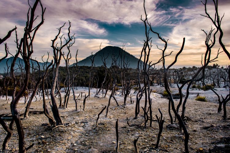 Hutan Mati kawasan Gunung Papandayan, Garut, Jawa Barat( agunpriyatna Shutterstock), 1. Gunung Salak cocok untuk pendaki pemula, 2. Garut juga punya gunung epic nih, Gunung Guntur namanya, 3. Gunung Malabar dengan kabut tipisnya yang sungguh meluluhkan hati, 4. Gunung Patuha dengan pesona kawah putihnya, 5. Mengenal lebih dekat hutan mati di Gunung Papandayan, 6. Asah skill mendaki kamu di Gunung Cikuray, 7. Mengintip hutan hujan tropis di Gunung Gede, 8. Menikmati keindahan lembah Mandalawangi di Gunung Pangrango, 9. Menyapa gunung Ciremai: gunung tertinggi di Jawa Barat, 10. Gunung Galunggung, 11. Gunung Tampomas, 12. Gunung Tangkuban Parahu, 13. Gunung Tilu, 14. Gunung Wayang, 15. Gunung Bongkok, 16. Gunung Bukit Tunggul, 17. Gunung Burangrang, 18. Gunung Kancana, 19. Gunung Manglayang, 20. Gunung Munara, 21. Gunung Sanggabuana, 22. Gunung Cakrabuana, 23. Gunung Subang, 24. Gunung Talaga Bodas, 25. Gunung Masigit, 26. Gunung Windu, 27. Gunung Halimun