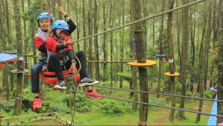 Kampoeng Pinus Sarangan