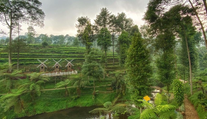 Kebun Teh Kaliboja jolly huang, 1. Pantai Pasir Kencana, 2. Curug Muncar, 3. Curug Bajing , 4. Pantai Slamaran , 5. Museum Batik Pekalongan, 6. Pantai Sunter Depok Indah, 7. Puncak Hanoman Gunung Kendalisodo, 8. Linggo Asri, 9. Kebun Teh Kaliboja, 10. Lolong Adventure, 11. International Batik Center , 12. Gunung Rogojembangan , 13. Wisata Watu Ireng , 14. Pantai Wonokerto , 15. Bukit Pawuluhan, 16. Wisata Mangrove Park Pekalongan, 17. Blackcanyon Petungkriyono, 18. Wisata Curug Madu, 19. Curug Bidadari Jolotigo , 20. Curug Cinde, 21. Monumen Pekalongan, 22. Alun-alun Kota Pekalongan, 23. Alun-alun Bebekan Kedungwuni, 24. Kali Paingan, 25. Curug Lawe, 26. Bendungan Kletak, 27. Curug Blanten, 28. Curug Bekakak, 29. Jembatan Lengkung Surabayan, 30. Taman Kuripan Pekalongan “Nursery Horikultura, 31. Pantai Sari Pekalongan, 32. Bengkelung Park, 33. Kolam Renang Banyubiru Pekalongan, 34. Taman Lapangan Bebekan, 35. Wisata Ciblon, 36. Zatoland Waterboom, 37. Bukit Bintang Kutorojo, 38. La’Ranch Glamping, 39. Telaga Sigebyar Mangunan, 40. Sipare Green Park, 41. Km 0 Pekalongan, 42. Wisata Danau Alkautsar, 43. Dino Park Soko Langit Pekalongan, 44. Masjid Agung Al-Jami Pekalongan, 45. Wisata Bahari PPNP, 46. Nasi Megono Bu Suli – Wisata Kuliner khas Pekalongan , 47. Pusat Grosir Setono