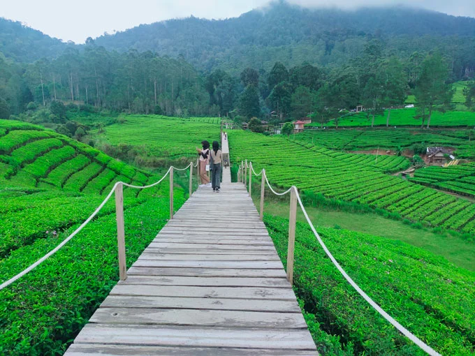 Nuansa Riung Gunung, 1. Taman Langit Pengalengan, 2. Hutan Pinus Rahong, 3. Kampung Singkur Rahong, 4. Nuansa Riung Gunung, 5. Wayang Windu Panenjoan, 6. Situ Chaniwung, 7. Situ Cileunca, 8. Sunrise Point Cukul, 9. Bukit Panyawangan, 10. Penangkaran Rusa Kertamanah, 11. Rumah Pengabdi Setan, 12. Perkebunan Teh Malabar, 13. Perkebunan Teh Cukul, 14. Rumah Putih Cukul , 15. Curug Panganten, 16. Curug Ceret, 17. Sungai Palayangan, 18. Gunung Artapela, 19. Datar Pinus Camp, 20. Pemandian Air Panas Cibolang, 21. Peternakan Ultra Milk, 22. Glamping Cileunca, 23. Rafting Sungai Palayangan, 24. Jembatan Cinta, 25. Gunung Nini, 26. Situs Sejarah Rumah Bosscha, 27. Curug Mega, 28. Situs Rumah Adat Cikondang, 29. Wisata Gunung Wayang Pangalengan