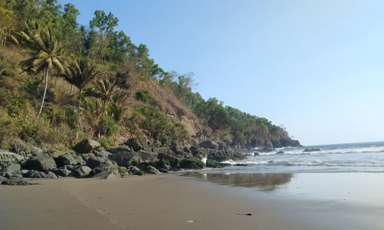 Pantai Ngulungwetan, 1. Pantai Prigi, 2. Pantai Pelang, 3. Pantai Karanggongso, 4. Pantai Taman Kili-Kili, 5. Pantai Pulau Kapulogo, 6. Pantai Konang, 7. Pantai Cengkrong, 8. Pantai Mutiara, 9. Pantai Damas, 10. Pantai Blado Munjungan, 11. Pantai Pasir Putih, 12. Pantai Merah Ngadipuro, 13. Pantai Ngulungwetan, 14. Pantai Ngampiran, 15. Pantai Rajaan, 16. Pantai Watulunyu, 17. Pantai Mbangkoan