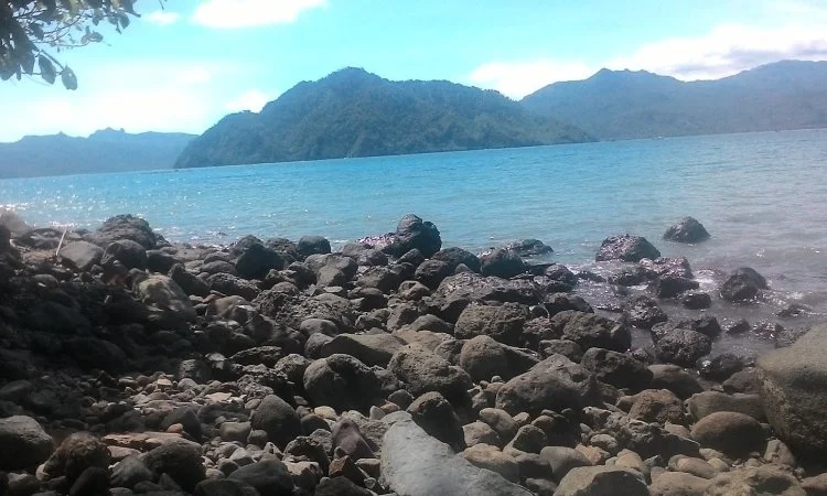 Pantai Watulunyu via Twitter @trenggalekjkt48, 1. Pantai Prigi, 2. Pantai Pelang, 3. Pantai Karanggongso, 4. Pantai Taman Kili-Kili, 5. Pantai Pulau Kapulogo, 6. Pantai Konang, 7. Pantai Cengkrong, 8. Pantai Mutiara, 9. Pantai Damas, 10. Pantai Blado Munjungan, 11. Pantai Pasir Putih, 12. Pantai Merah Ngadipuro, 13. Pantai Ngulungwetan, 14. Pantai Ngampiran, 15. Pantai Rajaan, 16. Pantai Watulunyu, 17. Pantai Mbangkoan