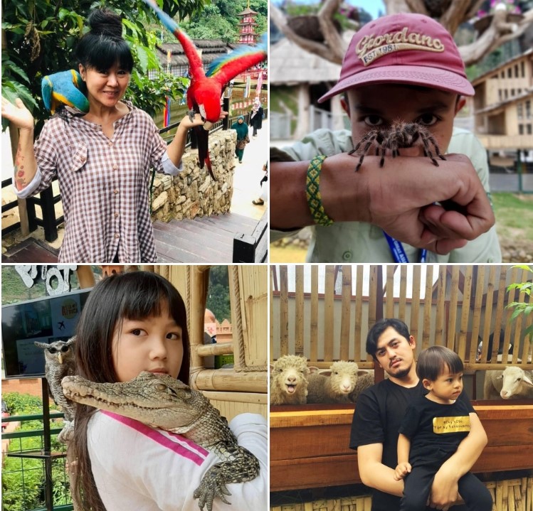 Photo Via epilngikngok, rifan_handiana, harli_toyota_ciled, arlindipertiwi, Informasi Umum The Great Asia Africa , Rute Menuju The Great Asia Africa Lembang, Jam Operasional, Harga Tiket Masuk , Fasilitas , Hal-hal Menarik di The Great Asia Africa, Daya Tarik Objek Wisata The Great Asia Africa