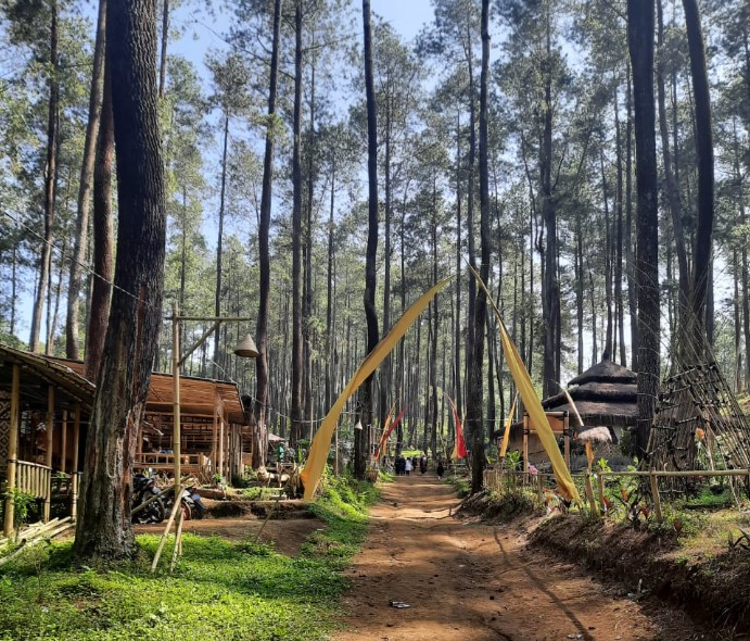 Wana Wisata Jayagiri anton setiyadi, Informasi Dasar, Daya Tarik Lembang, Tempat Wisata di Lembang Bandung, Tempat Wisata di Lembang yang Sudah Tutup, Aktivitas Seru yang Wajib Dilakukan di Lembang, Akses Menuju Lembang