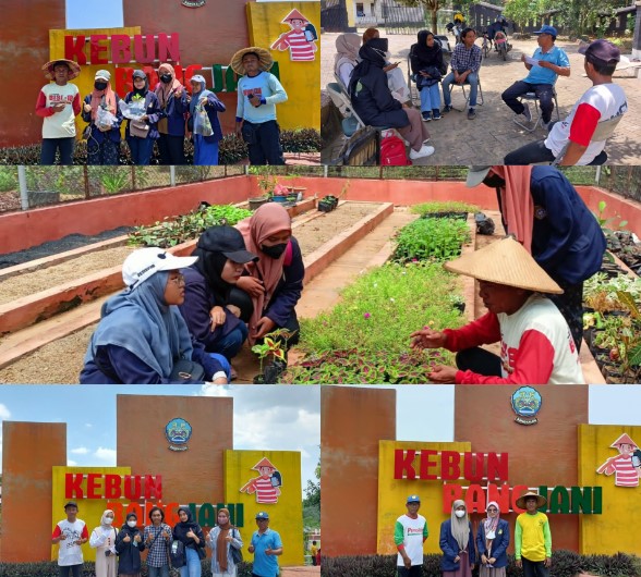 Agro Edu Wisata Kebun Bang Jani IZZATI production