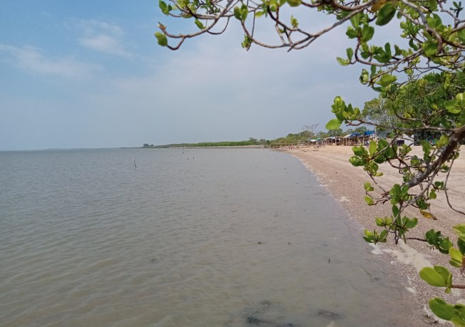 Pantai pandela Ilyasakin Qiyas