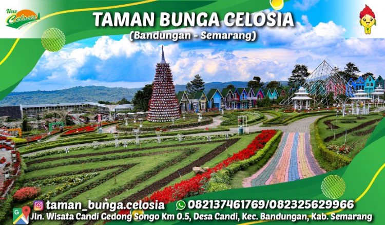 Taman Bunga Celosia, 1. Candi Gedong Songo, 2. New Bandungan Indah Waterpark and Family Resort, 3. Umbul Sidomukti, 4. Pondok Kopi Sidomukti, 5. Alun-alun Bandungan, 6. Vanaprastha Gedong Songo Park Perhutani, 7. Mawar CampGround, 8. Little Ranch, 9. Pasar Kembang Bandungan, 10. Gedong Pass, 11. King Garden Bandungan, 12. Legok Madu, 13. Taman Bunga Celosia, 14. I’AMpelgading Homeland, 15. Setiya Aji Flower Farm, 16. Ayana Gedong Songo, 17. Wisata Kampung Krisan Clapar, 18. Taman Bunga Gedong Songo, 19. Rumah Hobbit Ngasem Park, 20. Wisata Tandem Paralayang, 21. Susan Spa & Resort, 22. Pemancingan Bandungan, 23. Karaoke Bandungan, 24. Istana Kuliner – Wisata Kuliner Bandungan