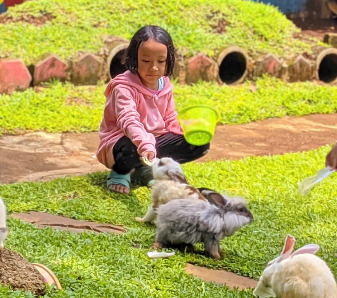 Taman Rekreasi Wiladatika nur adittiya (Adit), Informasi Umum, Alamat Taman Bunga Cibubur, Rute Menuju Taman Bunga Cibubur, Peta Menuju Taman Bunga Cibubur, Aktivitas Seru di Taman Bunga Cibubur, Fasilitas di Kawasan Taman Bunga Wiladatika, Harga Tiket Masuk Taman Bunga Wiladatika, Aneka Wahana Permainan, Beautiful Garden, Penginapan di Kawasan Taman Bunga Wiladatika