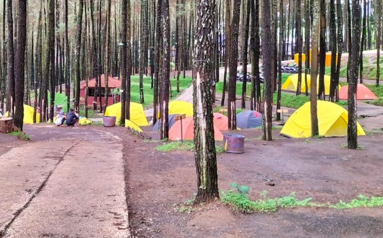 Alas Veenuz Trawas Ahmad Sodik, 1. Puncak Bayangan Gunung Penanggungan, 2. Lentera Camp Trawas, 3. Bumi Perkemahan Air Terjun Dlundung, 4. Alas Pelangi, 5. Bumi Perkemahan Lumbung Wit-Witan, 6. Gartenhutte Camp Ground, 7. Obis Camp, 8. Sasana Krida Jatijejer, 9. Abhimata Camp Site, 10. Alas Veenuz Trawas, 11. Camping Ground Wanawisata Bernah de Vallei, 12. Selotapak Camp