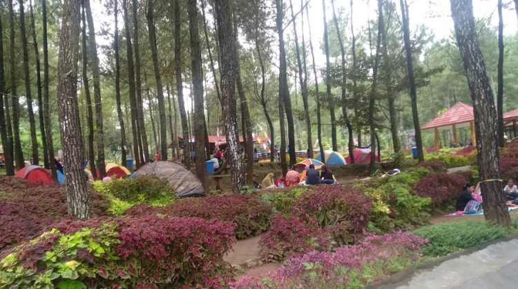 Camping Ground Wanawisata Bernah de Vallei Agus Iwan, 1. Puncak Bayangan Gunung Penanggungan, 2. Lentera Camp Trawas, 3. Bumi Perkemahan Air Terjun Dlundung, 4. Alas Pelangi, 5. Bumi Perkemahan Lumbung Wit-Witan, 6. Gartenhutte Camp Ground, 7. Obis Camp, 8. Sasana Krida Jatijejer, 9. Abhimata Camp Site, 10. Alas Veenuz Trawas, 11. Camping Ground Wanawisata Bernah de Vallei, 12. Selotapak Camp