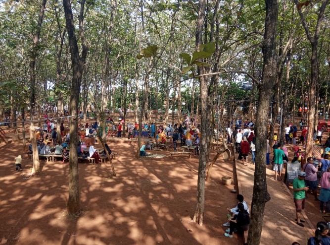 Hutan Kota Rajawali Batang Desi Kusuma, 1. Pantai Ujung Negoro Batang, 2. Pantai Celong, 3. Pantai Jodo Gringsing Batang, 4. Pantai Sigandu Batang – Safari Beach Jateng, 5. Kebun Teh Pagilaran Batang, 6. Curug Sijeglong, 7. Curug Agung Batang, 8. Curug Bidadari, 9. Curug Sodong, 10. Curug Genting Blado, 11. Rivertubing di Kali Lampir, 12. Telaga Dringo Batang, 13. Pemandian Air Panas Sangu Banyu, 14. Agrowisata Salak Sodong Batang, 15. Taman Budaya dan Rekreasi Kramat, 16. Batang Dolphin Center, 17. Ecopark Bandar, 18. Desa Wisata Pranten, 19. Goa Jepang (Tutup), 20. Tubing Pandansari Batang, 21. Pantai Pelabuhan Perikanan Batang, 22. Pantai Buntu – Pantai Jodo, 23. Batu Gamelan Batang, 24. Agrowisata Selopajang Timur, 25. Puncak Patran, 26. Wisata Alam Sikembang, 27. Curug Gombong, 28. Curug Botoh, 29. Curug Kanoman, 30. Green House Sri Tani Lestari – Taman Bunga Krisan, 31. Rumah Pohon Tombo (Tutup), 32. Curug Sipitung, 33. Curug Lojahan, 34. Pantai Sicepit – Pantai Segolok, 35. Jembatan Buntu Sengon, 36. Wana Wisata Polowono, 37. Pandang Sri Gunung, 38. Curug Sidangkrong, 39. Hutan Kota Rajawali Batang