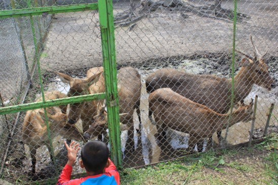 Kasang Kulim Zoo Mas Wagino, 1. Istana Siak, 2. ASIA FARM HAYDAY¹, 3. Pantai Cinta, Teluk Jering Tambang, 4. Kasang Kulim Zoo, 5. Citraland Waterpark, 6. Taman Kota Pekanbaru, 7. Wisata Danau Raja Rengat, 8. Bukit Ulu Kasok, 9. Bandar Bakau Dumai, 10. Labersa Water Park Riau Fantasi, 11. Pantai Selat Baru, 12. Candi Muara Takus, 13. Taman Rekreasi Alam Mayang Pekanbaru, 14. Lapangan Pasir Bengkalis, 15. Pantai Tanjung Medang, Teluk Rhu Rupat, 16. Pantai Tenggayun, 17. Pantai Marina, 18. Danau Rusa Kampar, 19. Wisata Hutan Pinus Cadika, 20. Wisata Bono, Berselancar di Sungai Kampar, 21. Perpustakaan Soeman H.S, 22. Taman Wisata Alam Koboko, 23. Air Terjun TEMBULUN Kinutan, 24. Agro Wisata Pelangi, 25. KAMPOENG RABBIT’S KULIM, 26. Museum Sang Nila Utama Pekanbaru, 27. Desa Okura Pekanbaru, 28. Pantai Sepahat, 29. Taman Hutan Raya Sultan Syarif Kasim, 30. Taman Andam Dewi, 31. Rumah Lontik, 32. Kawah Biru, 33. Pulau Jemur, 34. Air Terjun Pangkalan Kapas, 35. Air Terjun Panisan, 36. Pulau Beting Aceh, 37. Hutan Mangrove Sebauk, 39. Jembatan Water Front City Bangkinang, 39. Masjid Raya An-Nur Provinsi Riau