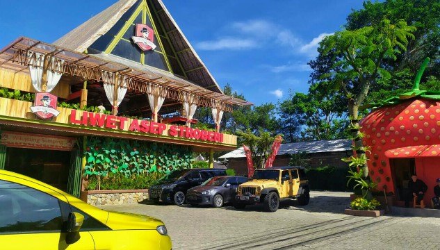 LIWET ASEP STROBERI LEMBANG