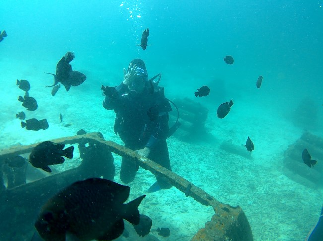 Scuba Weh mohd shahrin khalid, 1. Museum Tsunami, 2. Pulau Rubiah, 3. Pantai Iboih, 4. Masjid Raya Baiturrahman, 5. Air Terjun Blang Kolam, 6. Air Terjun Suhom, 7. Danau Laut Tawar, 8. Pantai Lhoknga, 9. Rumah Cut Nyak Dien, 10. Taman Hutan Raya Pocut Meurah Intan, 11. Air Terjun Kuta Malaka, 12. Tugu Nol Kilometer, 13. Pulau Batee, 14. Pulau Keluang, 15. Goa Sarang, 16. Ujong Seukee, 17. Pulo Aceh, 18. Air Terjun Pria Laot, 19. Air Terjun Tansaran Bidin, 20. Air Terjun Tahura Saree, 21. Kuala Paret, 22. Lingkok Kuwieng, 23. Kuala Merisi, 24. Pualu Pusong, 25. Pantai Tebing Lampuuk, 26. Pantan Terong, 27. Benteng Iskandar Muda dan Benteng Indrapatra, 28. Pusat Latihan Gajah Saree, 29. Air Terjun Peukan Biluy , 30. Goa Loyang Koro, 31. Gua putri pukes, 32. Cagar Alam Jantho, 33. Objek Wisata Putroe Aloh – Pucok Krueng , 34. Gunung Seulawah Agam, 35. Gunung Borni Telong, 36. Pulau Seumadu, 37. Kegiatan diving wisata di Pulau Weh, 38. Pantai Ujong Kareung, 39. Bukit Lamreh, 40. Pantai Ulee Lheue