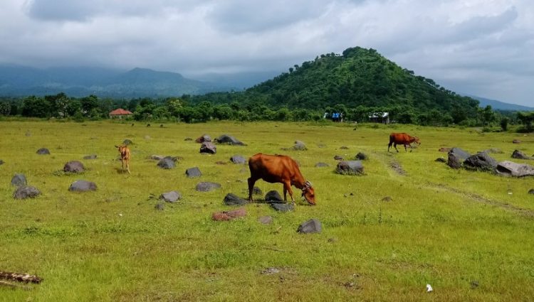 Savana Tianyar syahban al mahdi, 1. Istana Taman Gili Kerta Gosa, 2. Pura Besakih, 3. Pura Goa Lawah, 4. Pantai Pasir Putih, 5. Desa Bali Aga, 6. Puri Agung Karangasem, 7. Istana Air Tirta Gangga, 8. Pantai Amed, 9. Pura Lempuyang, 10. Bukit Asah, 11. Desa Sidemen, 12. Desa Tenganan, 13. Taman Ujung, 14. Taman Bunga Edelweis, 15. Rafting Telagawaja, 16. Candidasa, 17. Pantai Padang Bai, 18. Danau Yeh Malet, 19. Tirta Ujung Water Spring, 20. Savana Tianyar, 21. Air Terjun Yeh Labuh Waterfall, 22. Pantai Wates Karangasem