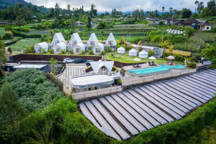 The Dewi Kintamani via Booking, 1. N’jung Bali Camp, 2. Black Lava Camp, 3. Alam Caldera Glamping, 4. Pulestis Glamping, 5. Pelaga Eco Park Bali, 6. Igloo Glamping Bali, 7. Cloud Hills Glamping by Bukit Vista, 8. Kintamani Escape, 9. Jempana View, 10. The Dewi Kintamani, 11. Tukadsari Camping, 12. Kubah Bali Glamping, 13. Bali Camps Park, 14. Sunrise Hill Camp, 15. Bali Sunrise Camp & Homestay, 16. Rejeng Garden Camp