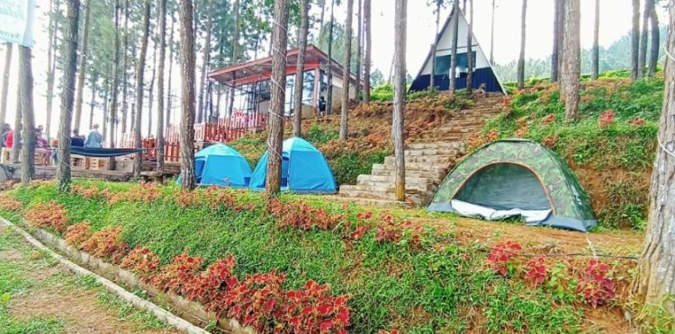 BUARAN (Bukit Ares Pawinihan), 1. Kawah Sikidang Dieng, 2. Kompleks Percandian Arjuna, 3. Taman Margasatwa Serulingmas, 4. D’Qiano Hot Spring Waterpark, 5. Museum Kailasa Dieng, 6. Arung Jeram Sungai Serayu, 7. Surya Yudha Park Banjarnegara, 8. Candi Bima, 9. Pemandian Air Panas Pingit, 10. Kawah Candradimuka, 11. Gunung Lanang, 12. Kawah Sileri Dieng, 13. Sumur Jalatunda Dieng, 14. Curug Pitu Banjarnegara, 15. Curug Mrawu, 16. Curug Sikopel, 17. Telaga Merdada Banjarnegara, 18. Telaga Dringo, 19. Waduk Mrica, 20. Candi Gatot Kaca, 21. Tampo Mas, 22. Curug Pletuk, 23. Serayu Park, 24. Kolam Renang Serulingmas, 25. Pesona Curug Muncar Banjarnegara, 26. Bukit Asmara Situk (Tutup Sementara), 27. Bukit Watu Sodong, 28. Bukit Icika, 29. Bukit Rumpit Bike Park, 30. Taman Kardjono, 31. BUARAN (Bukit Ares Pawinihan), 32. Curug Kuripan, 33. Pemandian air hangat segar asri, 34. Wisata Dawuhan, 35. Air Terjun Genting, 36. Bukit Skoter, 37. Curug Sinom Indah Kalibening, 38. Telaga Balai Kambang, 39. Wadas Tumpang Banjarnegara, 40. Anglir Mendung Banjarnegara, 41. Curug Pundung Sewu Banjarnegara, 1. Warung Makan Soto Krandegan, 2. Combro Kalipalet, 3. Bakso Ketupat Belakang Polres, 4. Saung Bu Mansyur