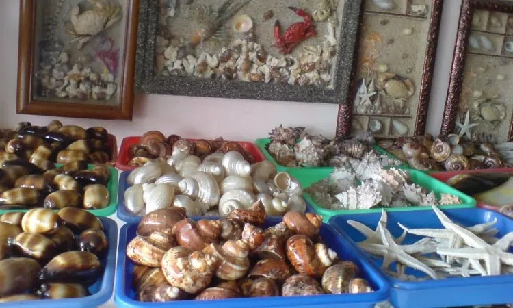 Kerajinan Cangkang Kerang, 1. Keripik Tempe, 2. Lanting, 3. Templeng, 4. Rempeyek Yutuk, 5. Brekecek, 6. Keripik Sukun, 7. Lepet Ketan, 8. Kerupuk Ikan Tenggiri, 9. Abon Ikan Tuna, 10. Gembus, 11. Sale Pisang, 12. Kerajinan Cangkang Kerang, 13. Tahu Masak khas Cilacap, 14. Cetil dan Cenil khas Cilacap, 15. Karedok Khas Cilacap