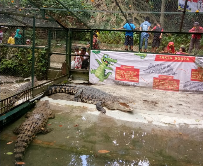 Taman Hewan Pematang Siantar Feri andi, 1. Taman Hewan Pematang Siantar, 2. Patung Dewi Kwan Im – Vihara Avalokitesvara, 3. Siantar Waterpark, 4. AIR TERJUN TURUNAN BUHIT (JABEL), 5. Air Terjun Tonduhan, 6. Air Terjun Mamabu, 7. Kebun Teh Sidamanik, 8. Pemandian Alam Aek Manik, 9. Air Terjun Bah Biak, 10. Taman BEO, 11. Pemandian Alam Swimbath, 12. Air Terjun Sampuran Widuri, 13. Museum Zoologi, 14. Museum Simalungun, 15. Pemandian Alam Sejuk (PAS), 17. Martoba Water Park, 18. Tugu Becak Pematang Siantar, 19. Air Terjun Sijambe, 20. Air Terjun Sipitu Tikka, 21. Pemandian Karang Anyar , 22. Bukit Indah Simarjarunjung, 23. Pemandian Pulau Batu, 24. Lapangan Merdeka Siantar – Taman Bunga, 25. PONDOK TEPI SAWAH