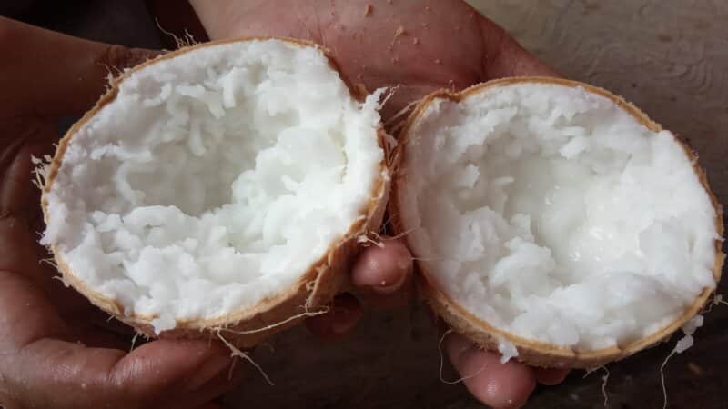 Kelapa Kopyor, 1. Nasi Gandul, 2. Bandeng Presto, 3. Getuk Lopis Runting, 4. Kacang khas Pati, 5. Kue Moho khas Pati, 6. Kerupuk Ampo, 7. Kerupuk Daging, 8. Telur Lurik, 9. Kerajinan Kuningan, 10. Batik Bakaran, 11. Kecap Duo Lele, 12. Pati Oblong, 13. Tape Gembong, 14. Jeruk Pamelo, 15. Lepet Jagung, 16. Kelapa Kopyor, 17. Carang Madu
