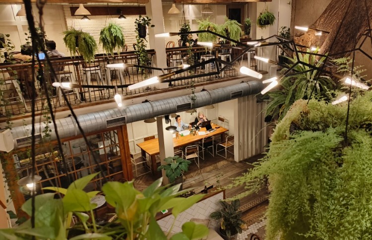 Lucky Cat Coffee & Kitchen rony bilberry