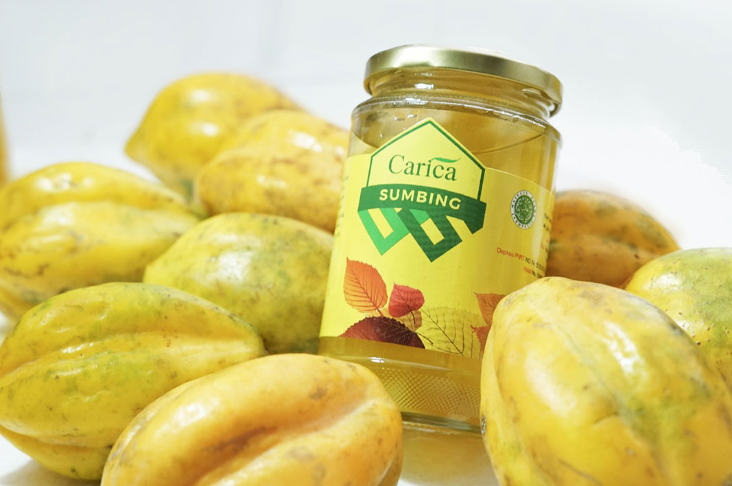 Carica Sumbing Segar, 1. Keripik Tempe Kemul, 2. Mie Ongklok, 3. Purwaceng, 4. Opak Singkong, 5. Keripik Jamur, 6. Kacang Dieng, 7. Dendeng Gepuk, 8. Carica Sumbing Segar, 9. Sagon, 10. Terong Belanda, 11. Teh Tambi, 12. Geblek, 13. Opak Angin, 14. Sego Megono, 15. Keripik Kentang, 16. Gorengan Tempe Kemul, 17. Salak khas Wonosobo, 18. Dodol Salak, 19. Combro