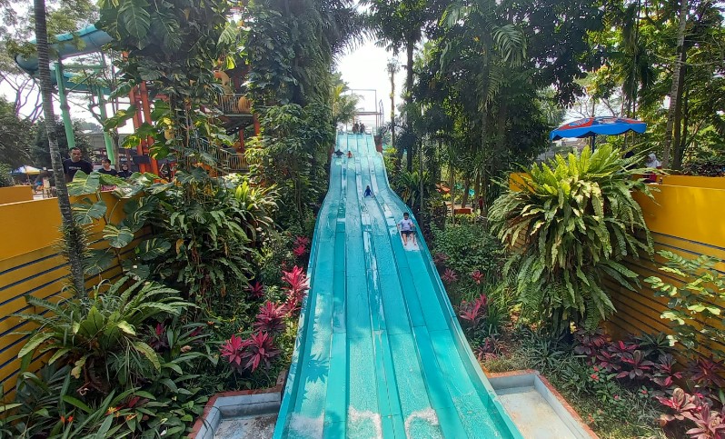 The Jungle Waterpark Bogor Hendra Gunawan, 1. Museum Nasional Sejarah Alam Indonesia, 2. Kebun Raya Bogor, 3. Museum Zoologi, 4. Taman Meksiko, 5. Taman Kencana, 6. Taman Kaulinan atau Taman Sempur, 7. Museum &amp; Monumen PETA, 8. The Jungle Waterpark Bogor, 9. Taman Heulang, 10. Water Park SKI, 11. Tirtania WaterPark, 12. ECOART PARK Sentul City, 13. Kuntum Farmfield, 14. Marcopolo Water Adventure Bogor, 15. Jungleland adventure theme park, 16. Kebun Durian Warso Farm, 17. Wisata air telaga Ciburial, 18. Curug Nangka, 19. Curug Luhur