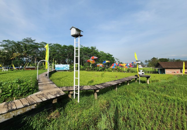 Tapak hapsari nes vita, 1. Taman Tingkir Kota Salatiga, 2. Taman Kota Salatiga, 3. Selasar Kartini, 4. Lapangan Pancasila, 5. Kolam Renang Kalitaman, 6. Taman Cerdas Salatiga, 7. Kolam Renang Grand Wahid Hotel Salatiga, 8. Prasasti Plumpungan, 9. Pohon Pengantin Salatiga, 10. Taman Wisata Sejarah Kota Salatiga (TWSS), 11. TITD Hok Tek Bio, 12. Tapak hapsari, 13. Air terjun joko tingkir, 14. Uwit Art Space, 15. Rumah Khalwat Roncalli, 16. Wisata Edukasi Argotelo, 17. Sitalang River Tubing, 18. Mata Air Benoyo, 19. Taman Sidomukti, 20. Desa Wisata Tingkir Lor, 21. Resto Kalibatur Salatiga, 22. Gereja Kristen Jawa Salib Putih, 23. D’Emmerick