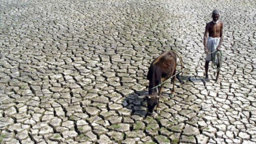 Ilustrasi kekeringan akibat El Nino
