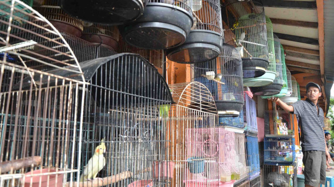 Penjual kandang hewan di Pasar Hewan Barito, Jakarta Selatan