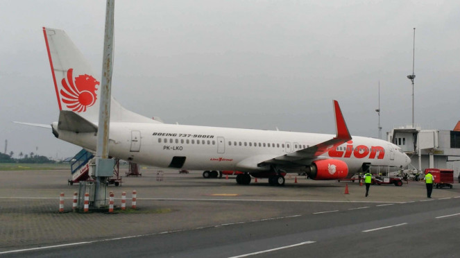 Pesawat Lion Air. (Ilustrasi)
