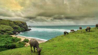 Wisata Lombok.